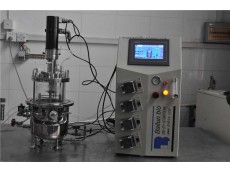 In situ sterilization glass Fermenter-bioreactor