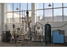 In-Situ Sterilizable Bioreactors 500L