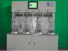 Quadruple  glass bioreactor