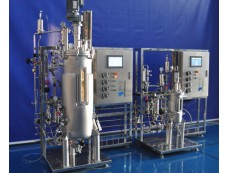 12-Double mechanical seal Production fermentation system